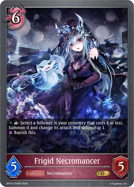 Frigid Necromancer