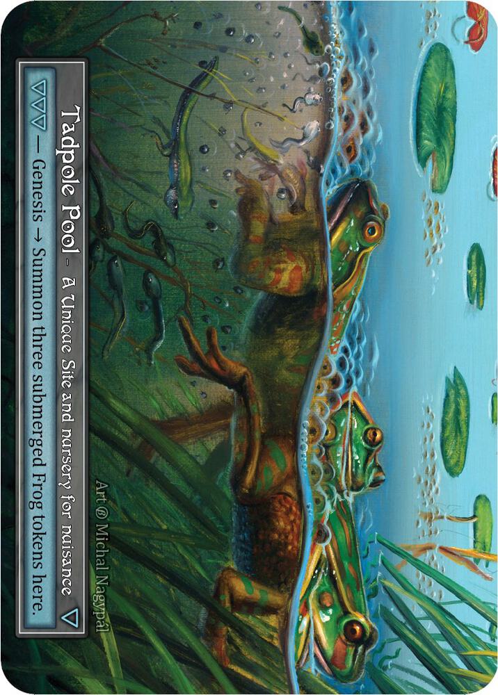Tadpole Pool