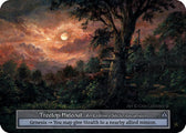 Treetop Hideout