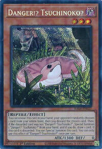 Danger!? Tsuchinoko?