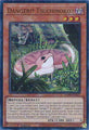 Danger!? Tsuchinoko?