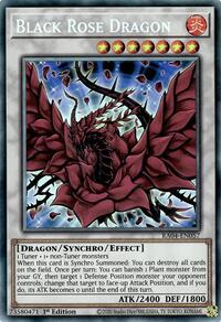 Black Rose Dragon 
