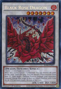 Black Rose Dragon 