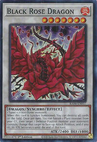 Black Rose Dragon