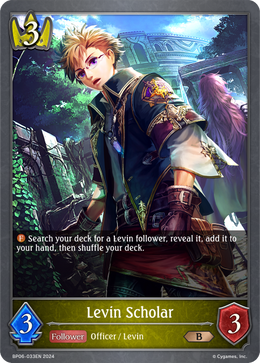 Levin Scholar