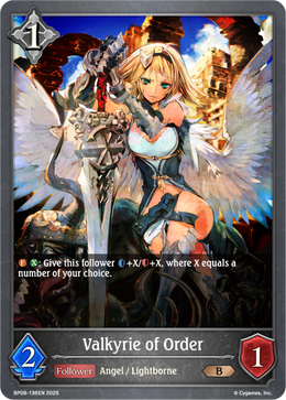 Valkyrie of Order