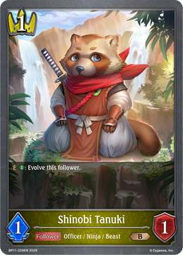Shinobi Tanuki