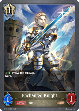 Enchanted Knight