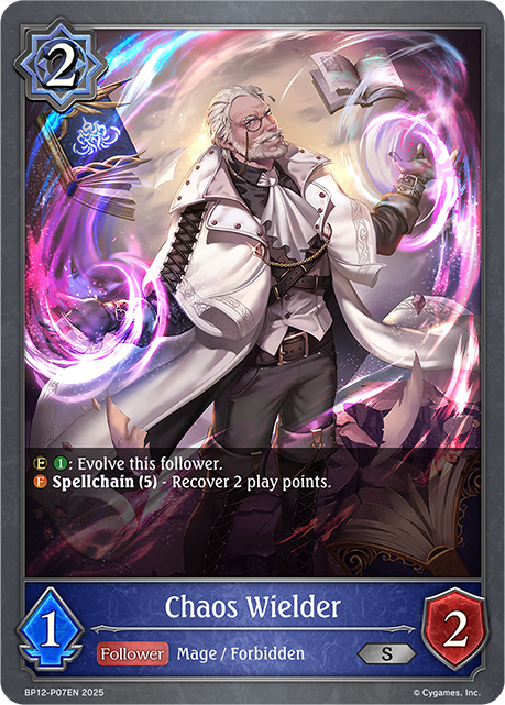 Chaos Wielder 