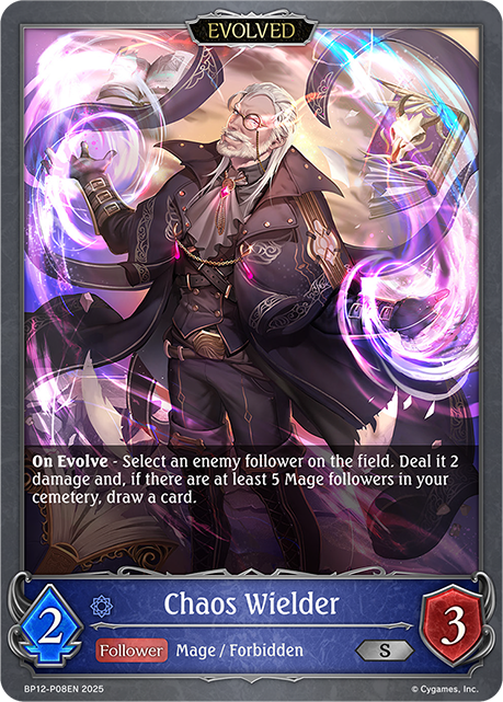 Chaos Wielder (Evolved) 