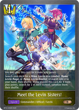 Meet the Levin Sisters!