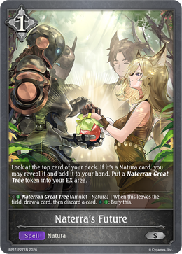 Naterra's Future 