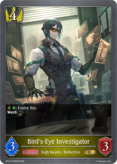 Bird's-Eye Investigator 