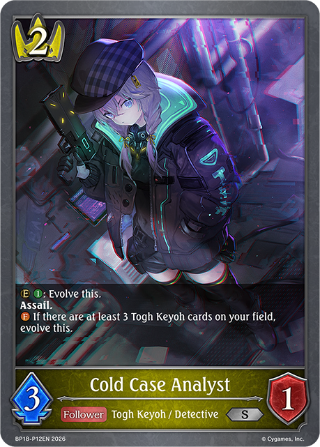 Cold Case Analyst 
