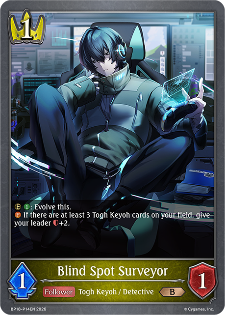 Blind Spot Surveyor 
