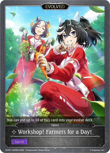 Workshop! Farmers for a Day! (Evolved)