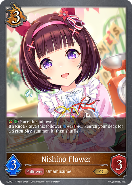 Nishino Flower 