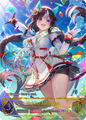 Hokko Tarumae (Evolved) 