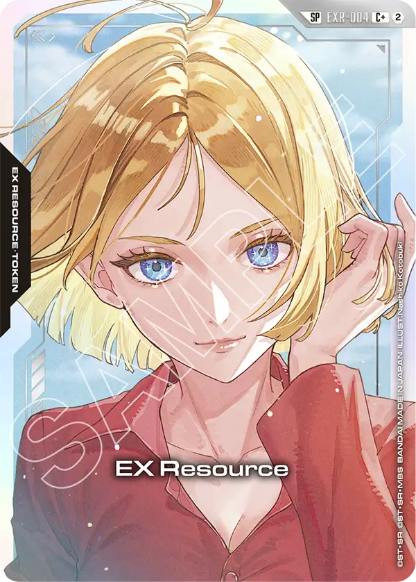 EX Resource EXR-004