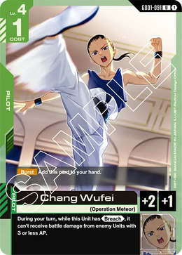 Chang Wufei
