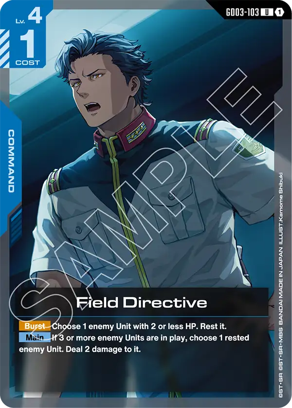Field Directive