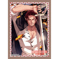 One Piece Card Game Sleeves Series 10