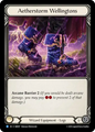 Aetherstorm Wellingtons