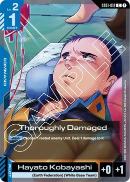 Thoroughly Damaged