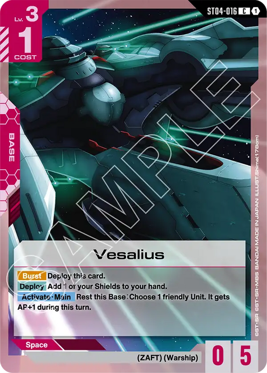Vesalius ST04-016