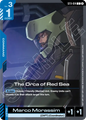The Orca of Red Sea ST11-014