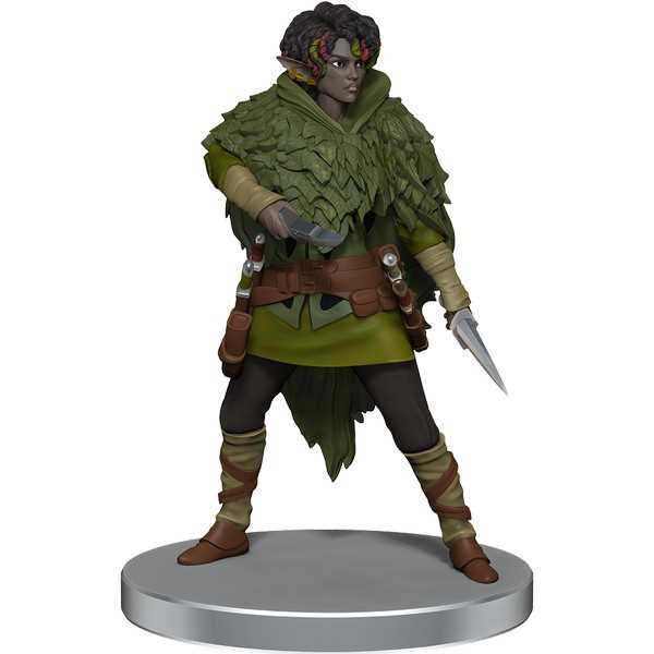 D&D Icons of the Realms Miniatures: Dragonlance - Warrior Set