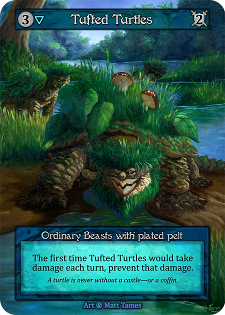 Tortues touffues